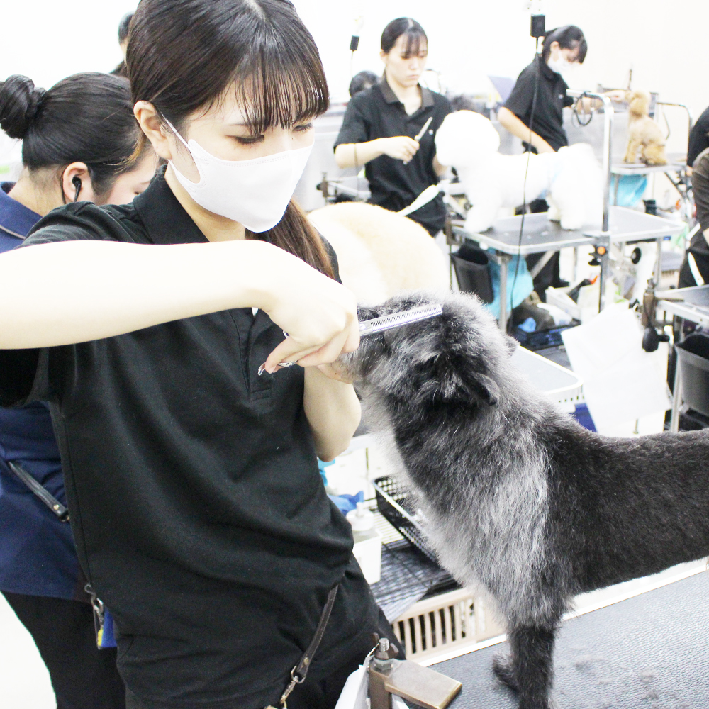 QÑg~OKA